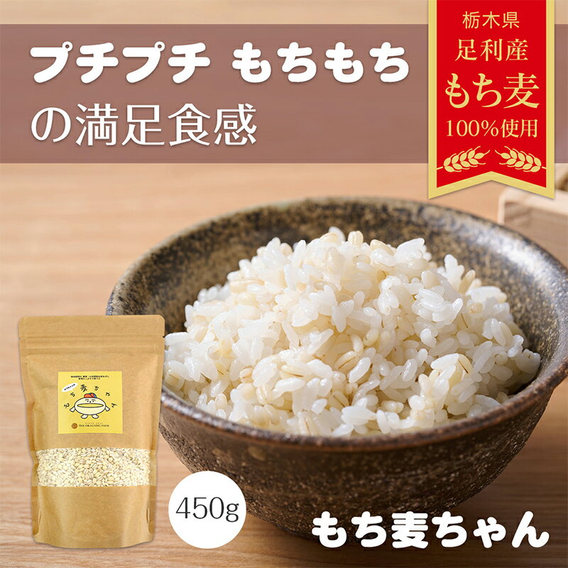 【ふるさと納税】令和7年 足利市産 もち麦ちゃん 450g ＜栽培期間中 農薬・肥料不使用＞ 国産 もち麦 玄米 米 食物繊維 健康 食品 簡単 調理 栃木県 足利市 F7Z-2500