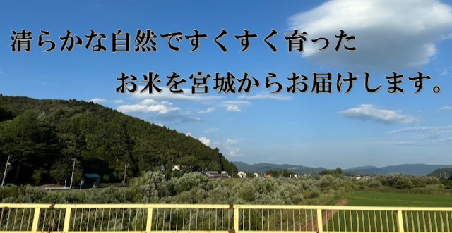米 令和7年産 ササニシキ 玄米 30kg お米 ごはん ご飯 飯 30キ