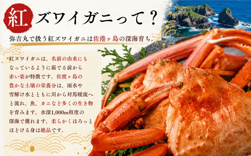 佐渡島産 浜茹で紅ズワイガニ
