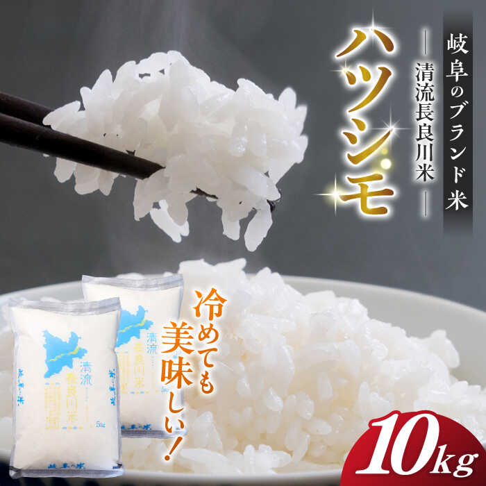 【ふるさと納税】【11月発送】【R7年産】岐阜ハツシモ 10kg 名水100選に選ばれた長良川中流の水で育った「清流長良川米」 すし飯 冷めても美味しい お米 岐阜市/森ライス[ANCU003]