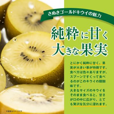 ふるさと納税 高松市 【先行受付2025年】さぬきゴールドキウイ　約3kg |  | 01