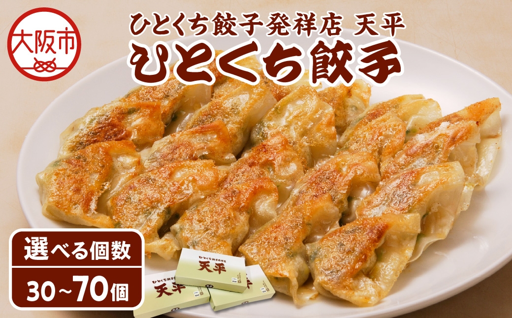 
                  【京阪百貨店厳選】ひとくち餃子発祥店 天平 ひとくち餃子_OS048-0014-SKU
                