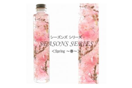 四季のハーバリウム～ SEASONS SERIES ～ Spring（春）［No.014-01］