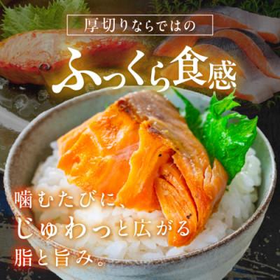 ふるさと納税 京丹後市 【毎月定期便】【訳あり・不揃い】お手軽!絶品!厚切り 塩銀鮭切身 (プロトン凍結)約1kg 全3回 |  | 02