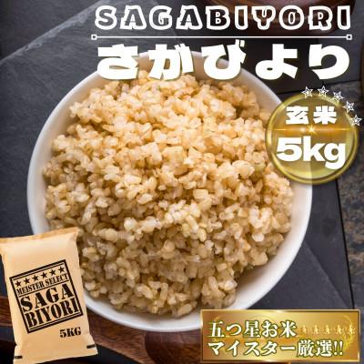 ふるさと納税 鳥栖市 【玄米】さがびより5kg(鳥栖市)