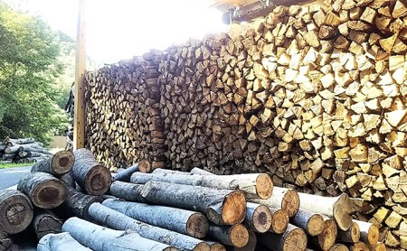 薪 五名の薪 森のちから 薪【20kg×10箱】【定期便3ヶ月】