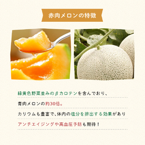 【2026年8月～発送】JAふらの 赤肉メロン 2玉 計3.2kg 富良野市 メロン フルーツ 果物