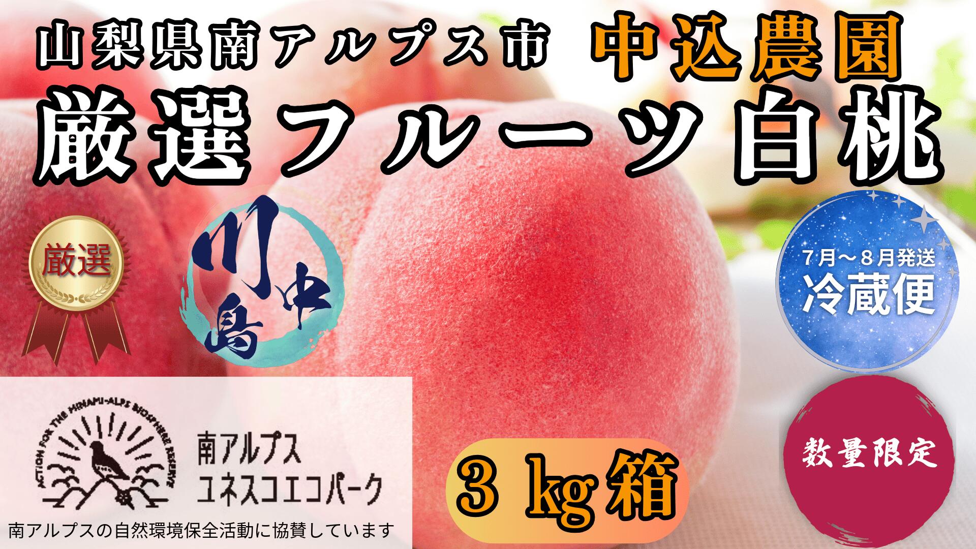 【ふるさと納税】＜2026年発送先行予約＞ 山梨県南アルプス市産 厳選桃 (川中島) 3kg 山梨県南アルプス市産 ふるさと納税 桃 もも 果物 フルーツ おすすめ 山梨県 南アルプス市 送料無料 ALPEM005