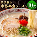 【ふるさと納税】博多長浜 本格半生ラーメン 10食 豚骨ラーメン 博多長浜ラーメン 博多ラーメン 長浜ラーメン 半生麺 豚骨 とんこつ らーめん ラーメン 拉麺 とんこつスープ 豚骨スープ 紅しょうが 即席 常温 お取り寄せ グルメ 博多 九州 福岡県 香春町 送料無料