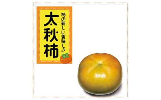 太秋柿　約4.5kg