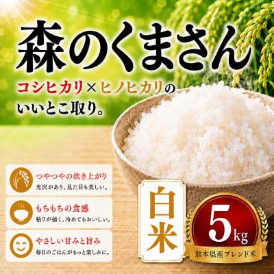 ふるさと納税 玉名市 【毎月定期便】熊本県産 森のくまさん　白米　5kg全3回