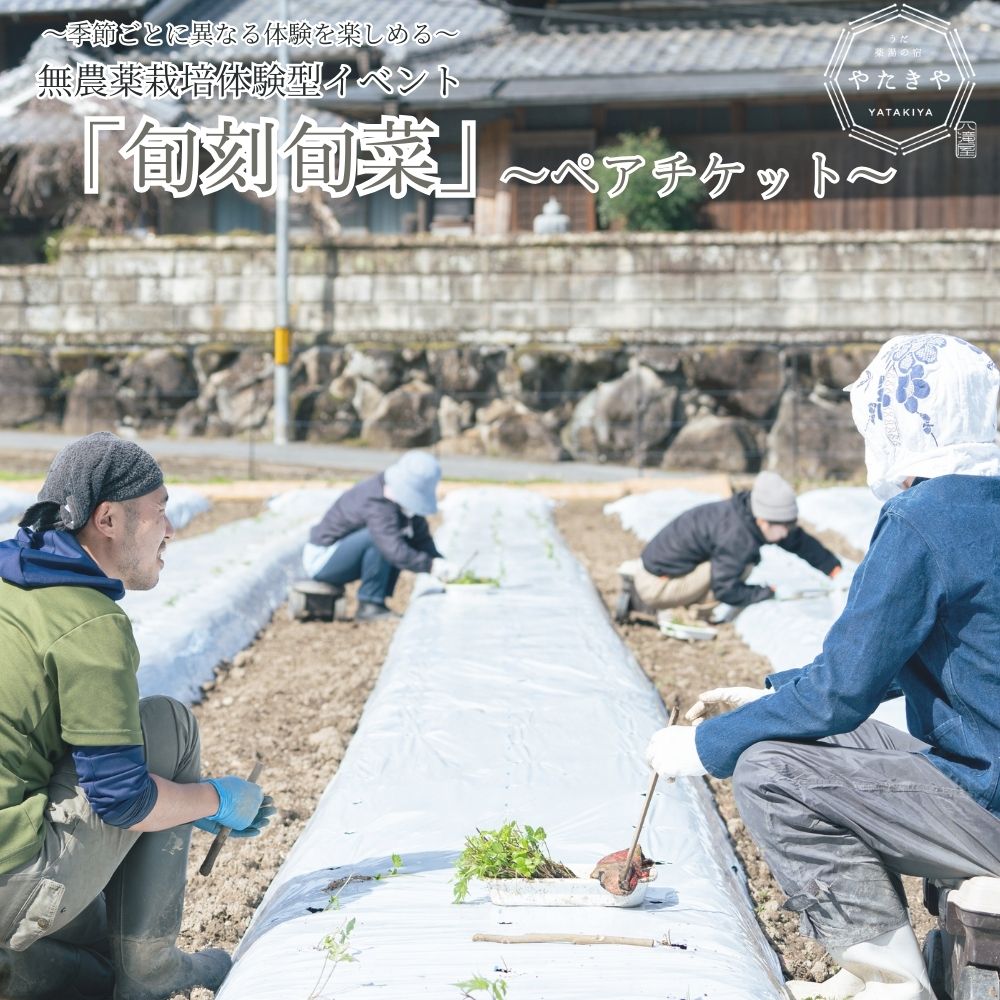 【ふるさと納税】『旬刻旬菜』参加チケット（ペアチケット）家庭菜園のお悩みをプロ農家に相談できるランチ付き農業体験 ／ なつかしいみらいサービス 送料無料 チケット 無農薬栽培 農業体験 家庭菜園 奈良県 宇陀市