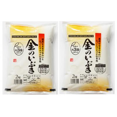 ふるさと納税 横手市 【令和7年産】金のいぶき 4kg(2kg×2袋)　玄米 |  | 01