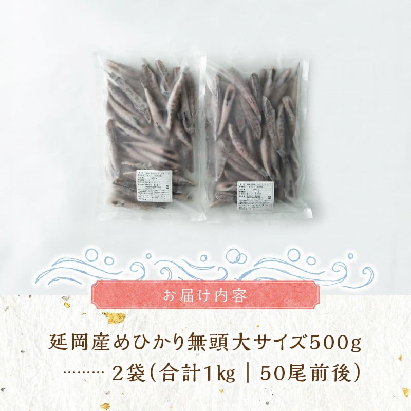 延岡産めひかり無頭大サイズ500g×2袋 N0184-YA178