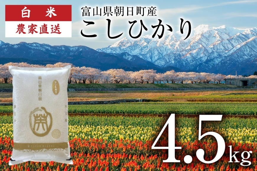 
            【期間限定発送】 米 令和7年産 こしひかり 精米 4.5kg [クリーンみず穂 富山県 朝日町 34310533] お米 コシヒカリ コメ 4.5キロ ご飯 ごはん 白米 産地直送 一等米 おこめ こめ
          