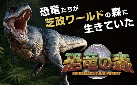 芝政ワールド スーパーパスポート3名様（おとな2名・こども1名） 遊園地 プール チケット レジャー施設 [D-3903]