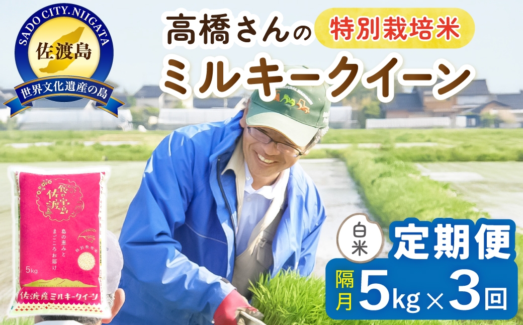 
                  【定期便 令和8年産新米 全3回】 佐渡島産ミルキークイーン 白米 5kg 令和8年産新米 特別栽培米 高橋農園 | 新潟県産ミルキークイーン 佐渡産ミルキークイーン ミルキークイーン お米 米 白米 精米 おこめ コメ 5キロ にいがた さど 新潟県 佐渡市
                