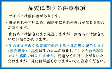 ＼早期予約・2026年3～4月限定出荷／生発送！【大】『北海道北前蟹』タグ付き特選 約800g（冷蔵）　年にひと月だけの期間限定「生」出荷　北海道日本海産紅ずわいがに　カニかご漁師直販　厳格な鮮度管理
