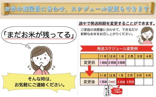 ＜令和6年産米受付　配送時期指定可＞　はえぬき【白米】30kg定期便 (10kg×3回)　戸沢村 お申込後約2週間で発送