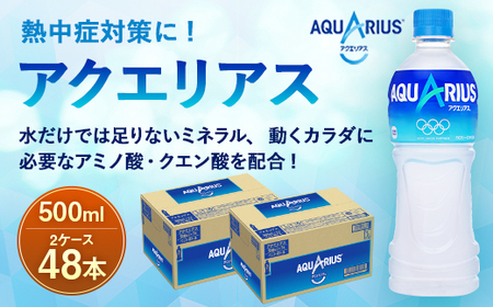 アクエリアス 500mlPET×24本入×2ケース 合計48本 AQUARIUS スポーツ飲料 スポーツドリンク ジュース カロリーオフ ペットボトル コカ・コーラ 熱中症対策 水分補給 送料無料