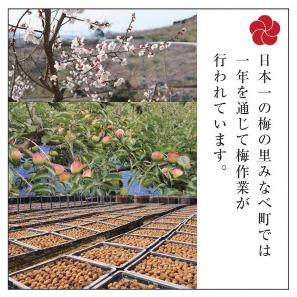 梅の里からの正月飾り「門梅」［R］ [AJ1]　DY90001_イメージ2
