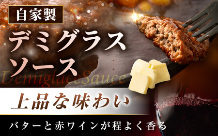 デミグラスハンバーグ 5個入り 簡単調理 ハンバーグ [A-0586]