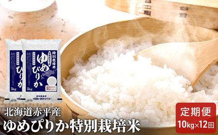 特別栽培米 北海道産 ゆめぴりか【10kg(5kg×2袋)】【定期便12回】