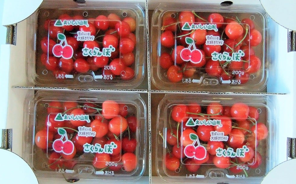 
            さくらんぼ（佐藤錦）２００ｇ×４パック　ご家庭用　0112-2612
          