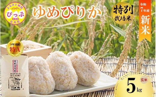 【先行予約】【西間農園】特別栽培米 ゆめぴりか みがき玄米 5kg JGAP認証農場 【1月から2月上旬発送】 米 お米 北海道米 特Aランク 国産 コメ 北海道 比布町 1005-051