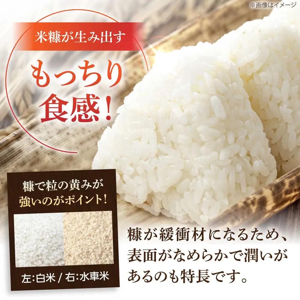 大楠水車米 さがびより 5kg /若木町まちづくり推進協議会 [UBY002] さがびより 水車米