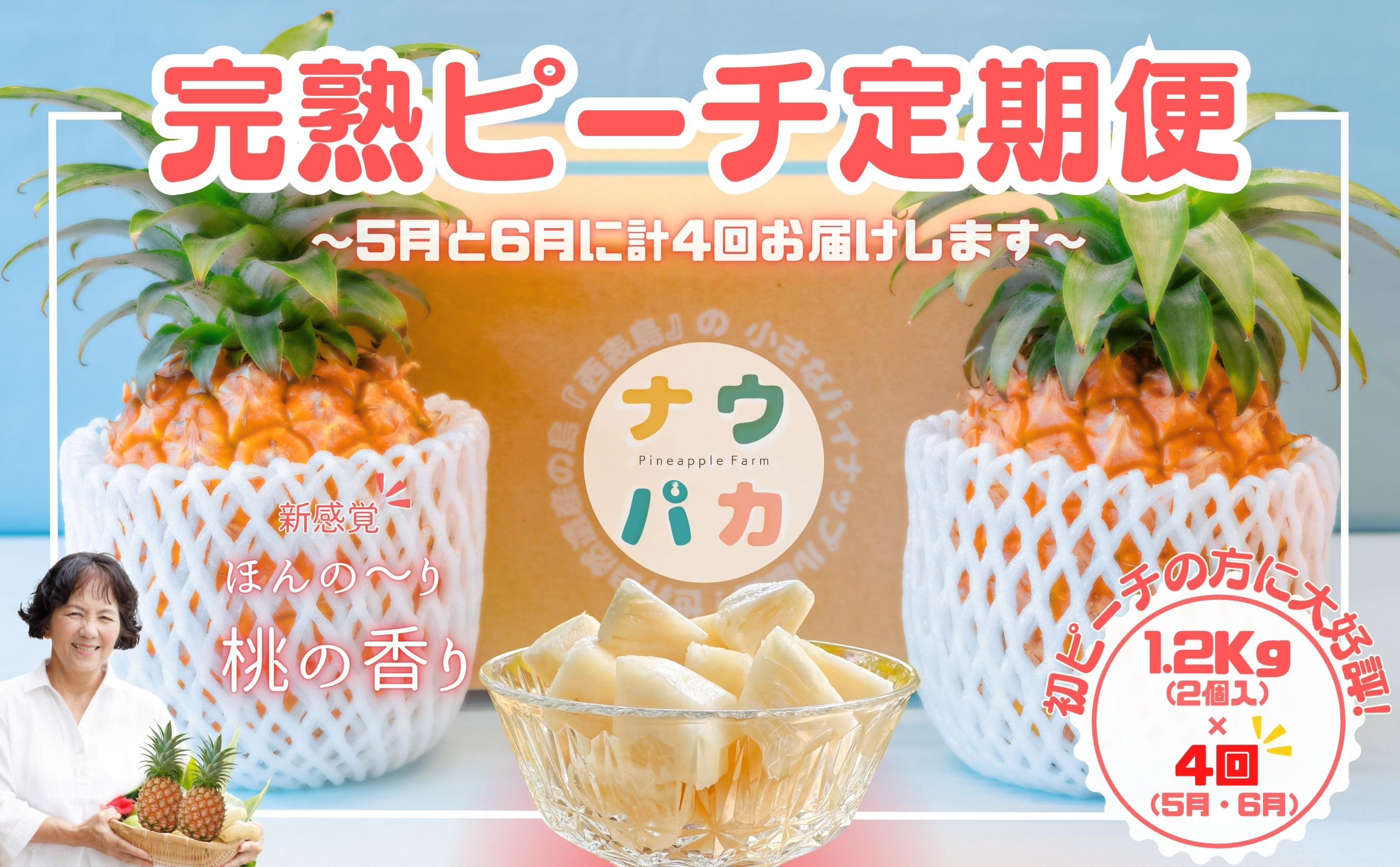 
            【よくばりピーチ定期便★約1.2kg×4回】☆新感覚☆ 桃のような芳醇な香りのする『西表島産 完熟ピーチパイン』
          