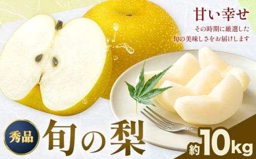 おまかせ梨 秀品 約10kg 日本フルーツ《8月上旬-10月末頃出荷》熊本県 長洲町 なし 梨 果物 フルーツ デザート ギフト ご贈答