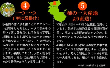 柿 紀の川市柿黒あま 約3.6kg(11-15玉前後)4L-2L《10月中旬-11月末頃出荷》柿柿柿柿柿柿柿柿