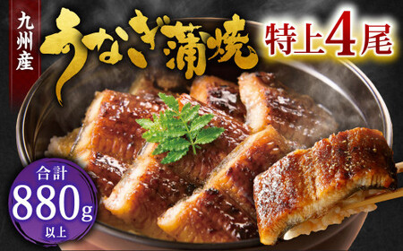 九州産 うなぎ 蒲焼 特上4尾 計880g以上 (1尾あたり220～235g)【2026年1月発送】