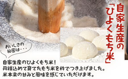 白もち 杵つきもち 20個 1kg  11月上旬頃より順次出荷予定 自家製米 ひよくもち米 杵つき 丸餅 お雑煮 おしるこ 焼き餅 焼きもち ぜんざい 福岡県 福岡 九州 グルメ お取り寄せ