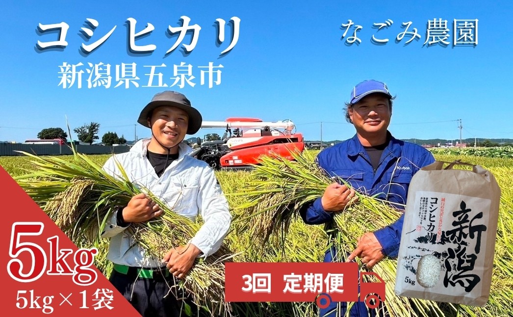 
                  【先行予約】【令和8年産】〈3回定期便〉なごみ農園のコシヒカリ 5kg (5kg×1袋) 緑白綬有功章受章 | 新潟産コシヒカリ 新潟県産コシヒカリ 新潟県産こしひかり 米 お米 こしひかり 白米 精米 ブランド米 新潟県 五泉市  なごみ農園
                