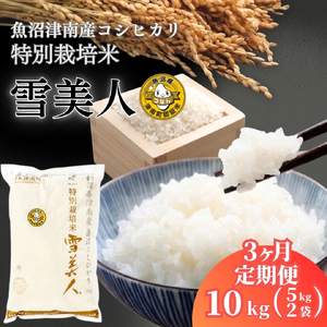 【3ヶ月定期便】魚沼産コシヒカリ 特別栽培 雪美人 10kg（5kg×2袋）| 津南町 魚沼 令和8年