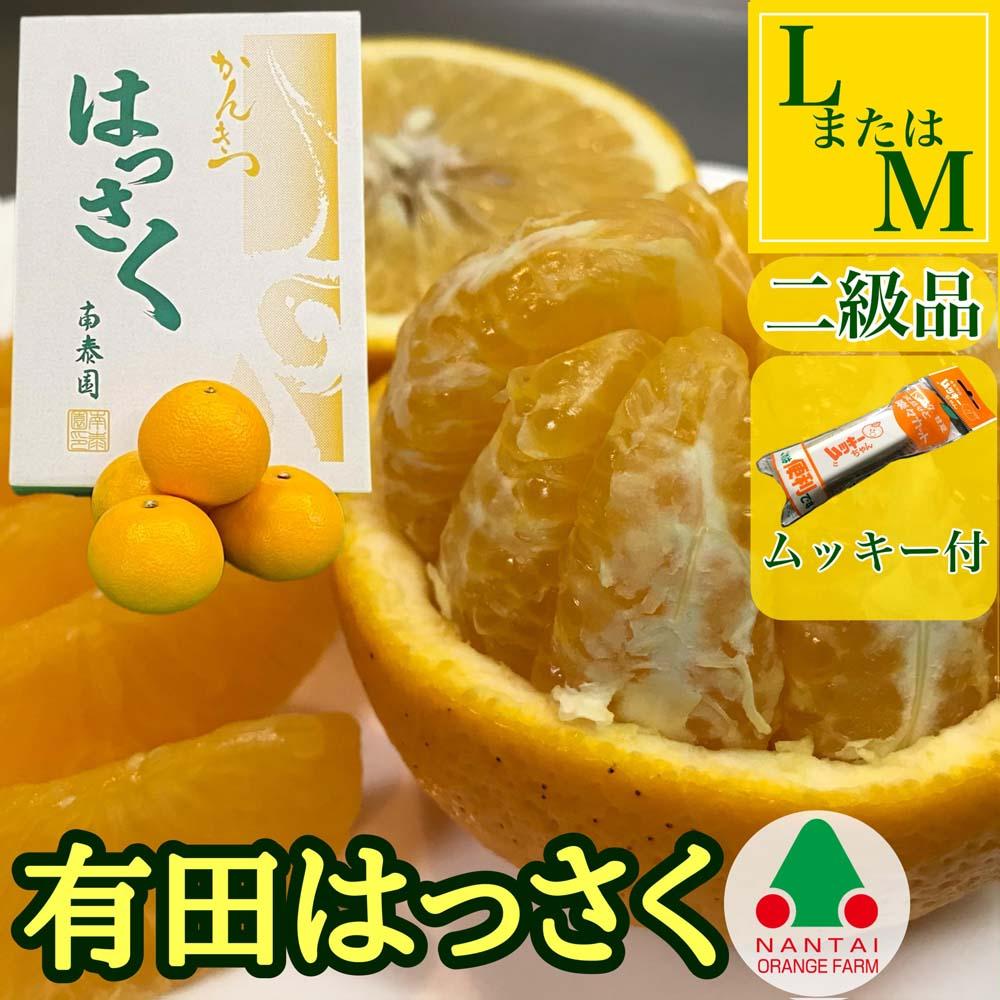 手詰め 有田 はっさく L × 8玉 または M × 10玉 サイズ ちょっと 傷あり ムッキー 同梱 南泰園 みかん BS715