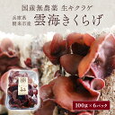 【ふるさと納税】国産無農薬 生キクラゲ600g『雲海きくらげ』(100g×6パック) きくらげ キクラゲ 木耳 生きくらげ 生キクラゲ 生木耳 きのこ キノコ 国産 国内産 朝来市産 無農薬 600g 600グラム 兵庫県 朝来市 AS2AB33