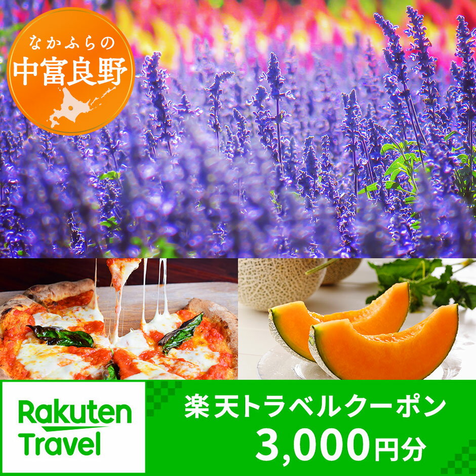 【ふるさと納税】北海道中富良野町の対象施設で使える楽天トラベルクーポン 寄付額10,000円