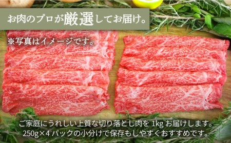 【牧場直送】佐賀県産和牛 至福の切落し 1000g【有限会社佐賀セントラル牧場】 [IAH006]