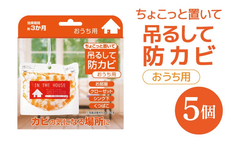 
防カビ ちょこっと置いて吊るして防カビ（おうち用）5個 カビ予防 部屋 クローゼット 靴箱

