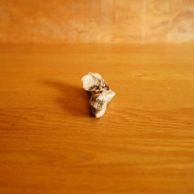 ふるさと納税 屋久島町 【屋久島の流木】小サイズ　タイプ1 |  | 03