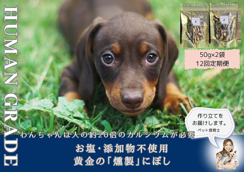 【ふるさと納税】犬と猫の無添加おやつ☆お塩不使用☆黄金の燻製にぼし【12回定期便】（FB065）