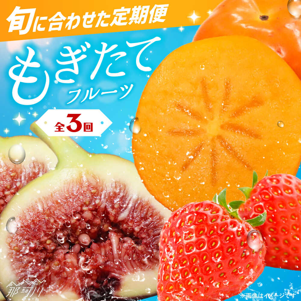 【ふるさと納税】【全3回定期便】九州・福岡もぎたて フルーツ定期便 C＜一般社団法人地域商社ふるさぽ＞那珂川市 | [GBX023] 40000 40000円 4万円
