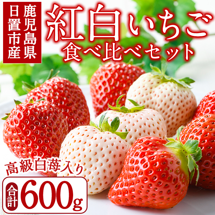 No.1162 ＜先行予約受付中！2027年1月以降順次発送＞紅白いちごの食べ比べセット(計600g・300g×2トレー) 国産 九州産 鹿児島 日置市 生鮮食品 苺 イチゴ 果物 フルーツ 大粒 食べ比べ【ままりあ農園】