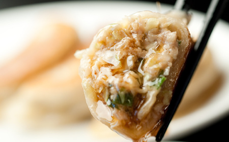 AR-8 凄汁ギョーザ 15個 チャーハン 約500g×3パック  冷凍 餃子 炒飯