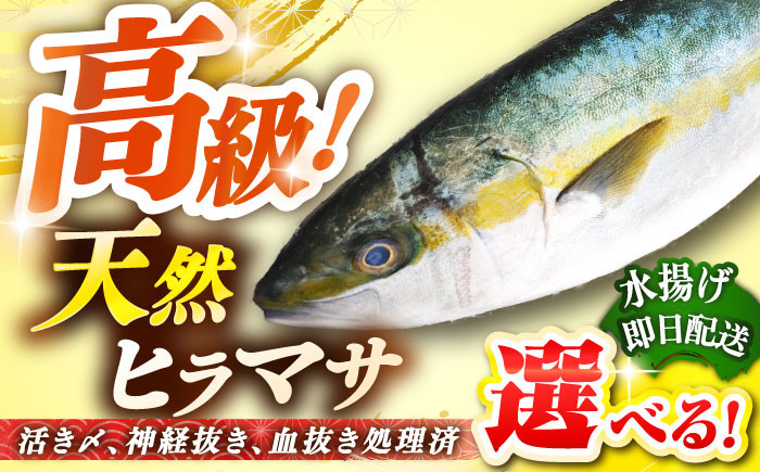 
壱岐島産天然ヒラマサ 40000 40000円 4万円
