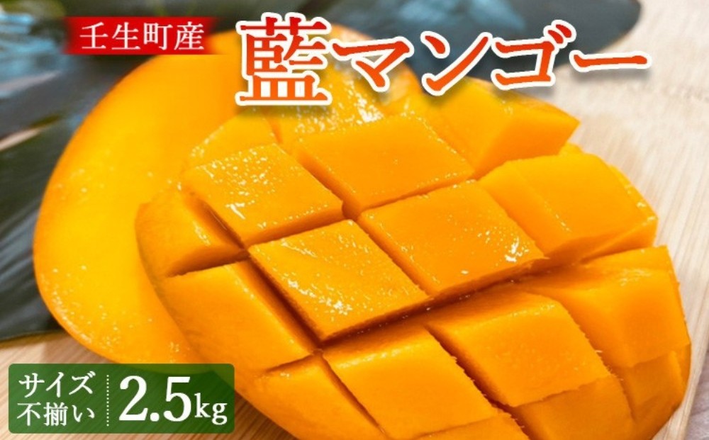 
                  壬生町産藍マンゴー 2.5kg サイズ不揃い | マンゴー フルーツ 果物 くだもの 国産 栃木県 壬生町
※2026年7月～発送
                