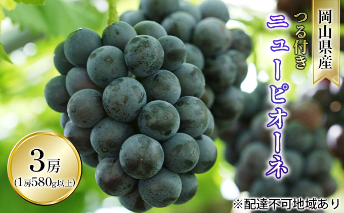 ぶどう 2026年 先行予約 つる付き ニュー ピオーネ 3房入り（1房 580g以上 ハウス栽培） ブドウ 葡萄  岡山県産 国産 フルーツ 果物 ギフト 